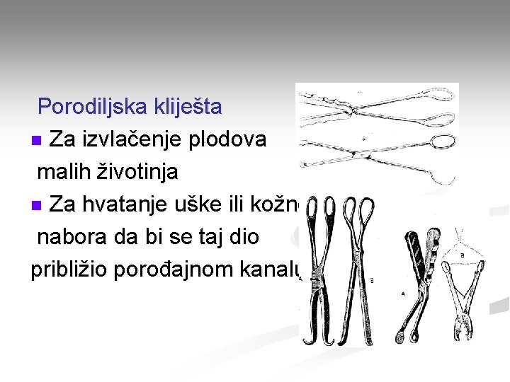 Porodiljska kliješta n Za izvlačenje plodova malih životinja n Za hvatanje uške ili kožnog