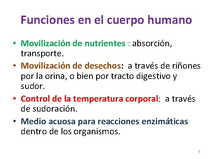 Funciones en el cuerpo humano • Movilización de nutrientes : absorción, transporte. • Movilización