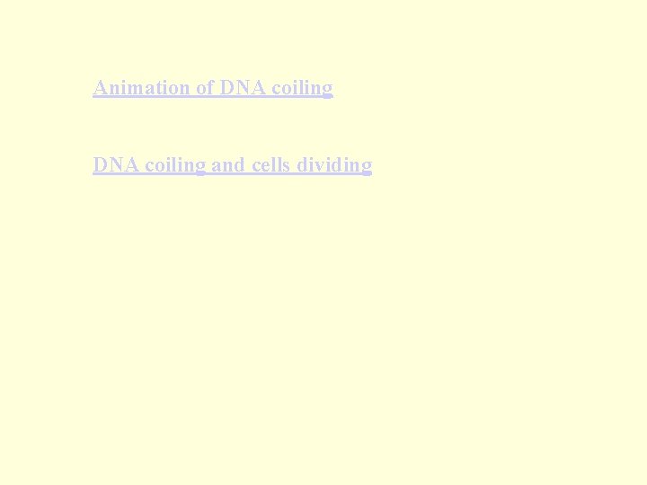 Animation of DNA coiling and cells dividing 