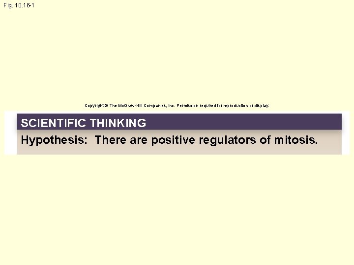 Fig. 10. 16 -1 Copyright © The Mc. Graw-Hill Companies, Inc. Permission required for