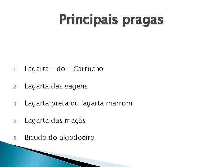 Principais pragas 1. Lagarta – do - Cartucho 2. Lagarta das vagens 3. Lagarta