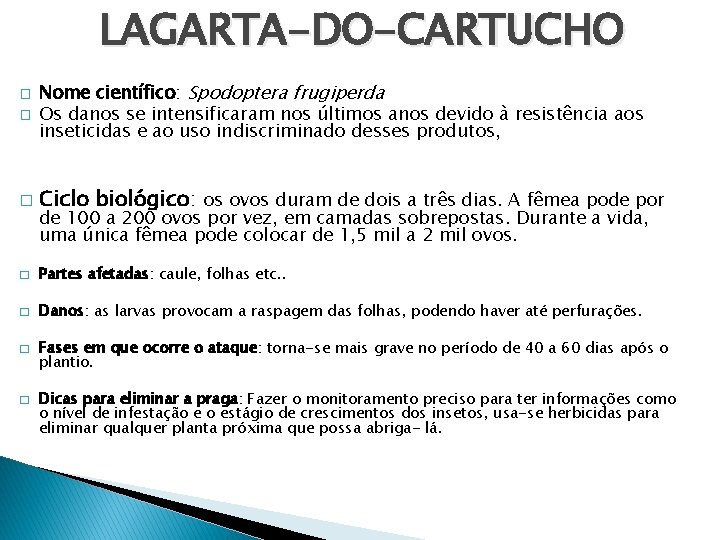 LAGARTA-DO-CARTUCHO � Nome científico: Spodoptera frugiperda Os danos se intensificaram nos últimos anos devido