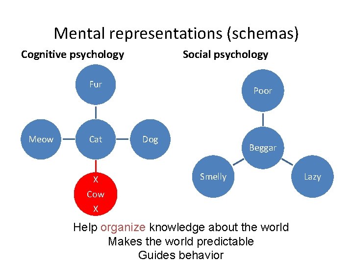 Mental representations (schemas) Cognitive psychology Social psychology Fur Meow Cat X Cow X Poor
