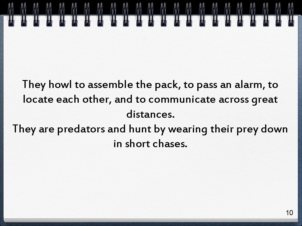 They howl to assemble the pack, to pass an alarm, to locate each other, They howl to assemble the pack, to pass an alarm, to locate each other,