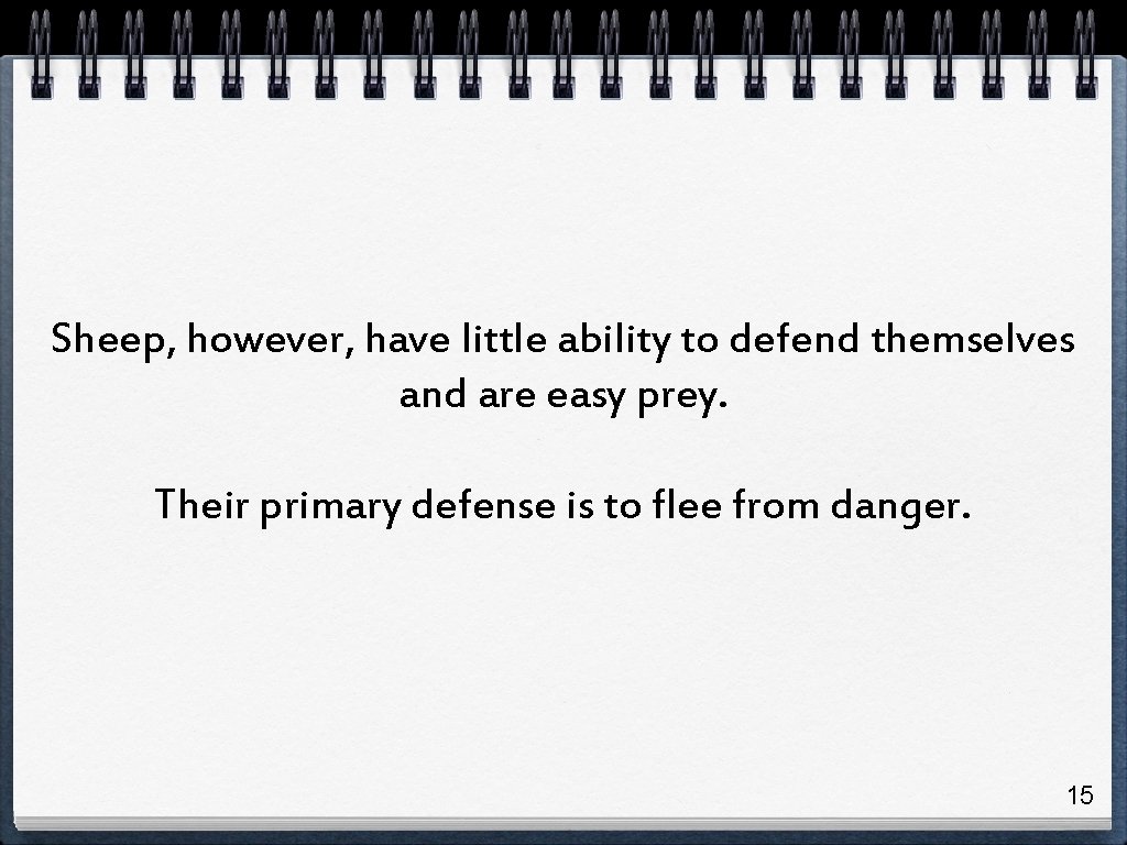 Sheep, however, have little ability to defend themselves and are easy prey. Their primary Sheep, however, have little ability to defend themselves and are easy prey. Their primary