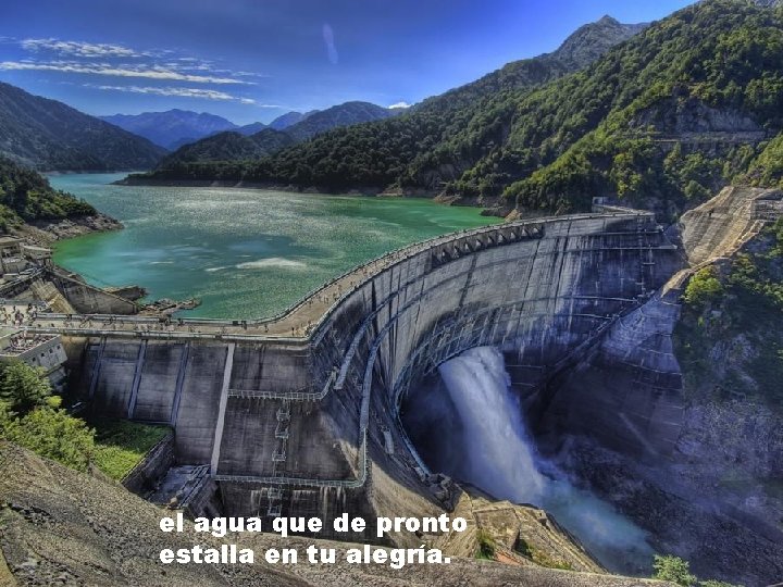 el agua que de pronto estalla en tu alegría. 