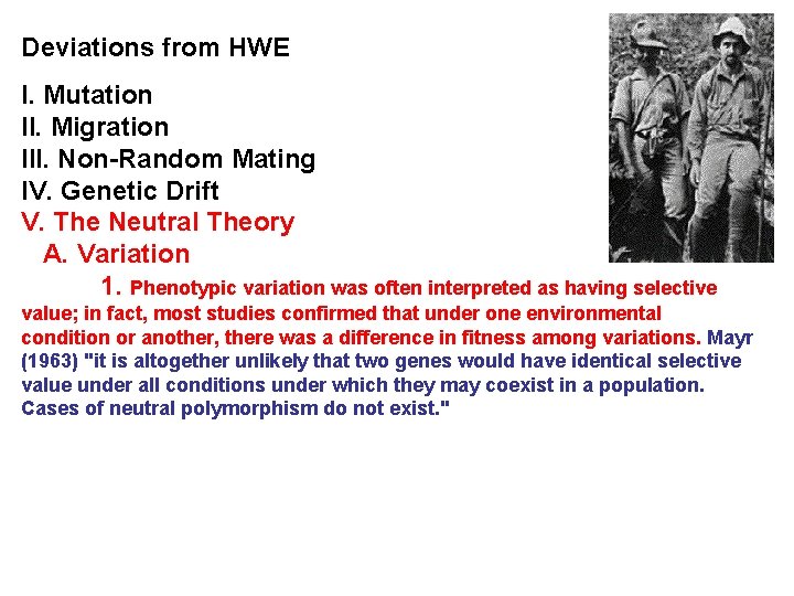 Deviations from HWE I. Mutation II. Migration III. Non-Random Mating IV. Genetic Drift V.