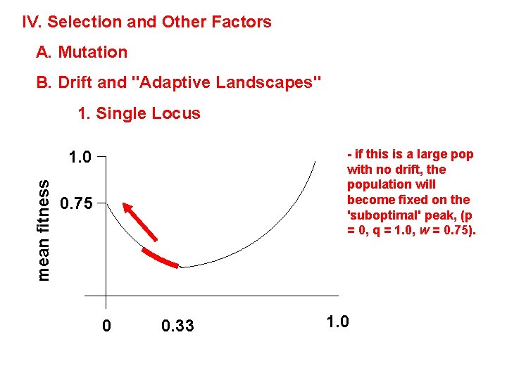 IV. Selection and Other Factors A. Mutation B. Drift and "Adaptive Landscapes" 1. Single