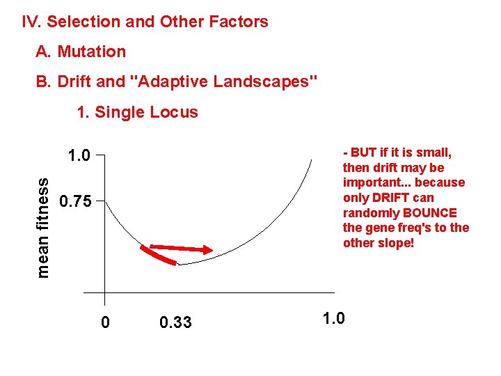 IV. Selection and Other Factors A. Mutation B. Drift and "Adaptive Landscapes" 1. Single