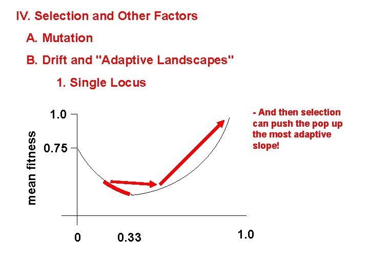 IV. Selection and Other Factors A. Mutation B. Drift and "Adaptive Landscapes" 1. Single