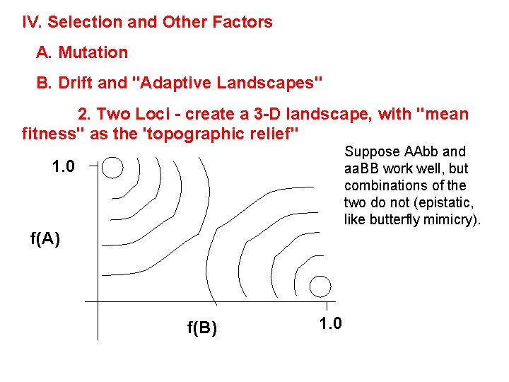 IV. Selection and Other Factors A. Mutation B. Drift and "Adaptive Landscapes" 2. Two