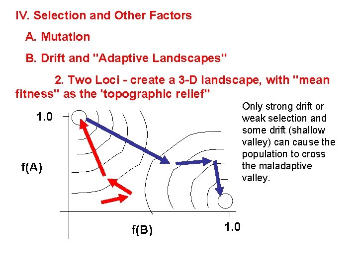 IV. Selection and Other Factors A. Mutation B. Drift and "Adaptive Landscapes" 2. Two