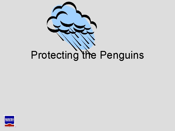 Protecting the Penguins Protecting the Penguins