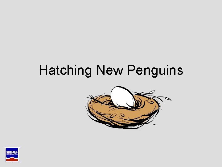 Hatching New Penguins Hatching New Penguins
