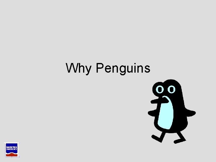 Why Penguins Why Penguins