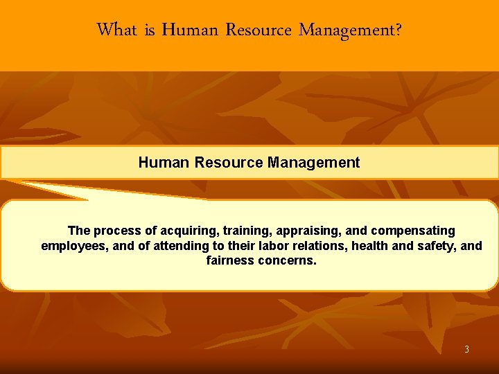 What is Human Resource Management? Human Resource Management The process of acquiring, training, appraising,