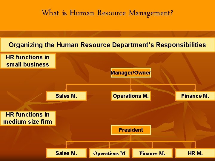 What is Human Resource Management? Organizing the Human Resource Department’s Responsibilities HR functions in