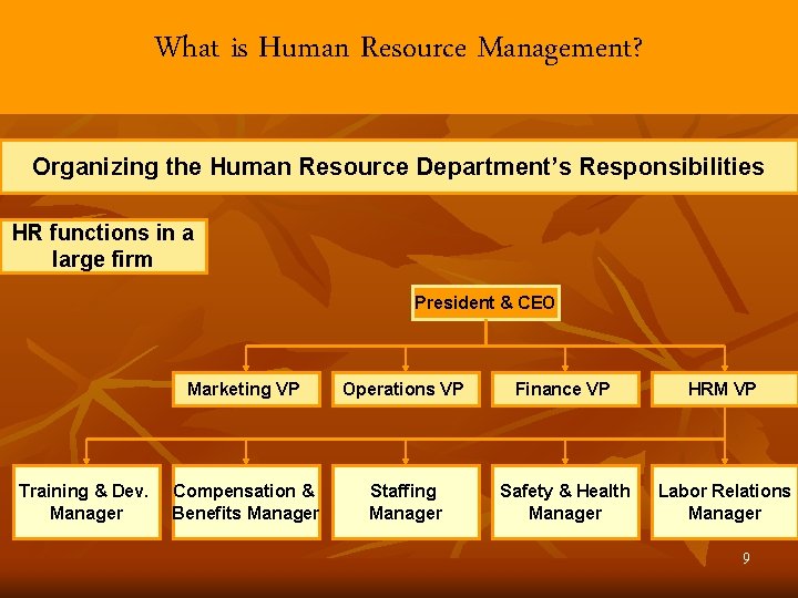 What is Human Resource Management? Organizing the Human Resource Department’s Responsibilities HR functions in