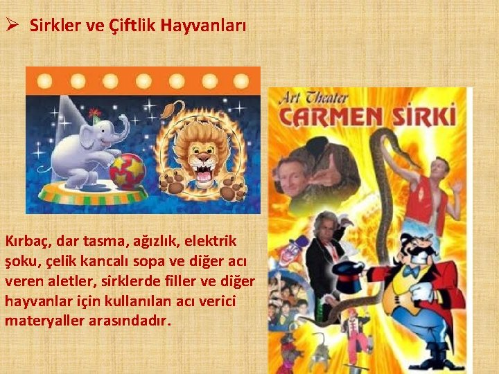 Ø Sirkler ve Çiftlik Hayvanları Kırbaç, dar tasma, ağızlık, elektrik şoku, çelik kancalı sopa