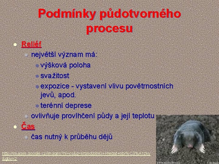 Podmínky půdotvorného procesu l l Reliéf l největší význam má: l výšková poloha l