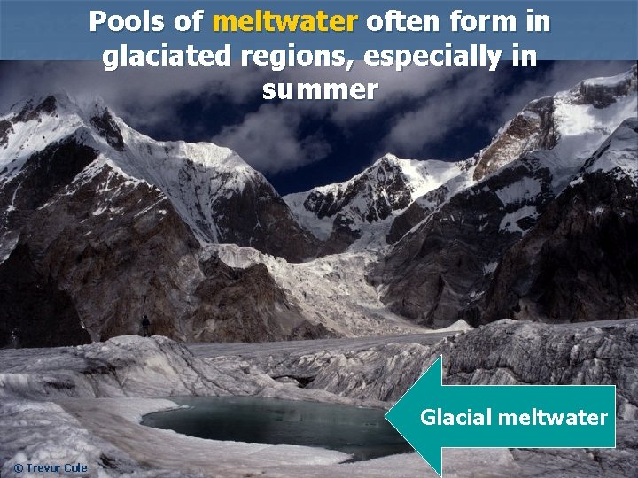 Pools of meltwater often form in glaciated regions, especially in summer Glacial meltwater ©