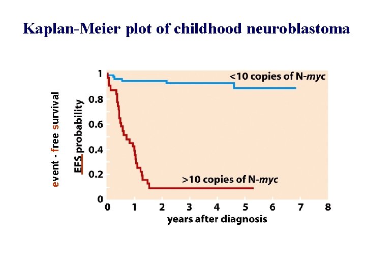 event - free survival Kaplan-Meier plot of childhood neuroblastoma 