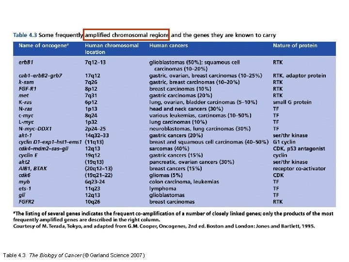 Table 4. 3 The Biology of Cancer (© Garland Science 2007) 