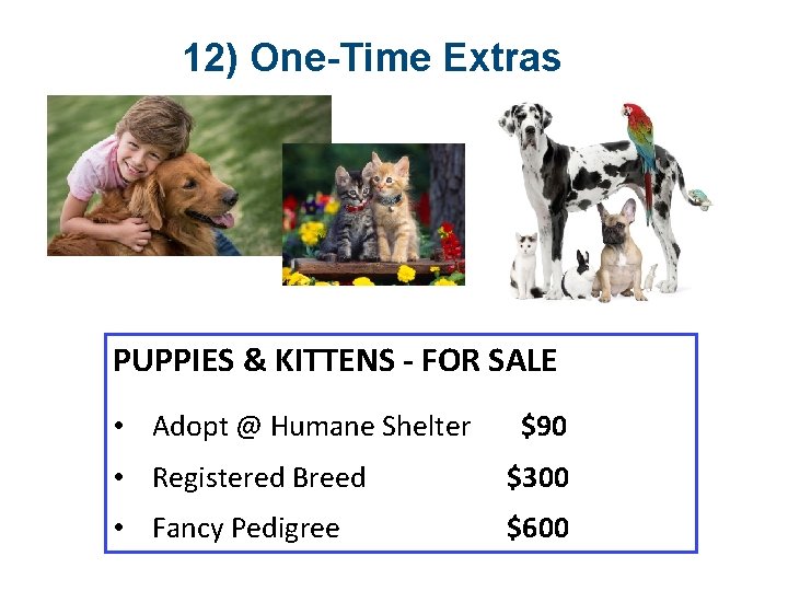 12) One-Time Extras PUPPIES & KITTENS - FOR SALE • Adopt @ Humane Shelter