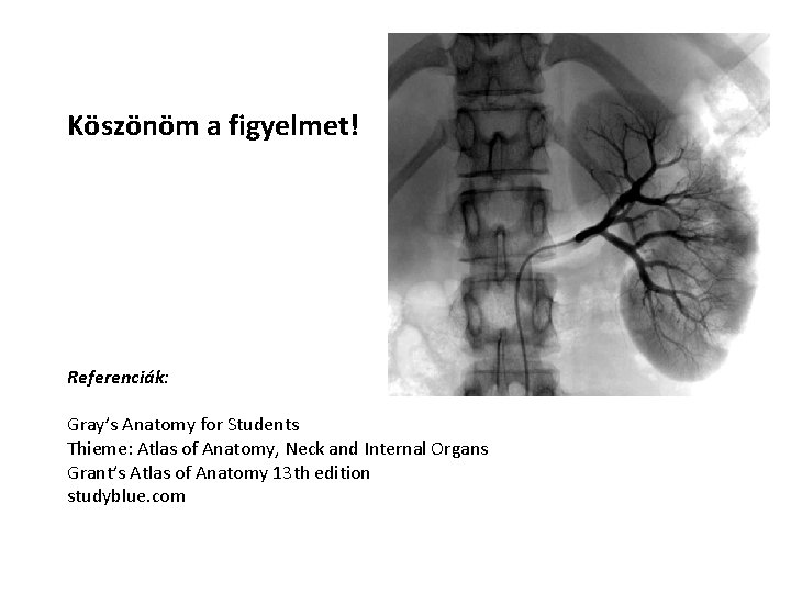 Köszönöm a figyelmet! Referenciák: Gray’s Anatomy for Students Thieme: Atlas of Anatomy, Neck and