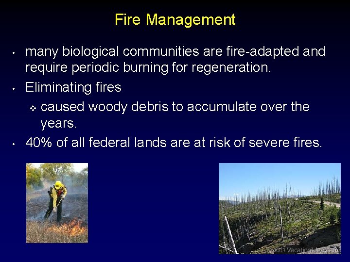 Fire Management • • • many biological communities are fire-adapted and require periodic burning