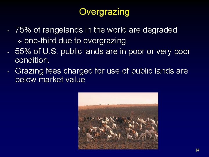 Overgrazing • • • 75% of rangelands in the world are degraded v one-third