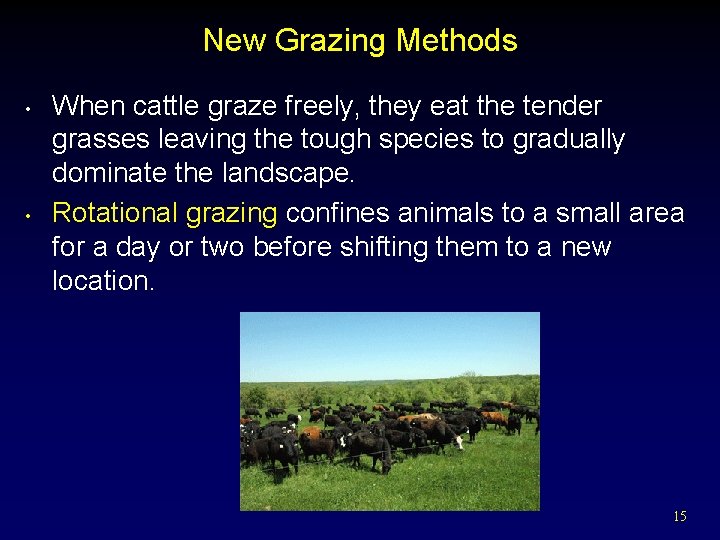 New Grazing Methods • • When cattle graze freely, they eat the tender grasses