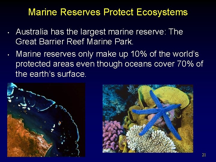 Marine Reserves Protect Ecosystems • • Australia has the largest marine reserve: The Great
