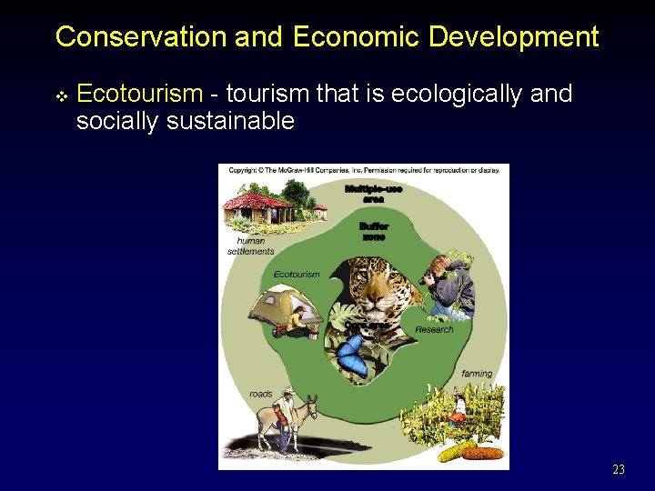 Conservation and Economic Development v Ecotourism - tourism that is ecologically and socially sustainable