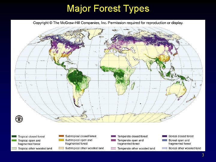 Major Forest Types 3 