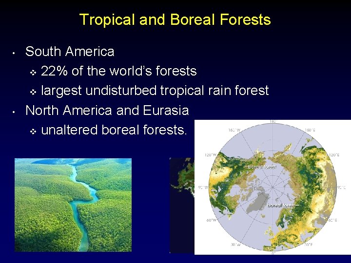 Tropical and Boreal Forests • • South America v 22% of the world’s forests