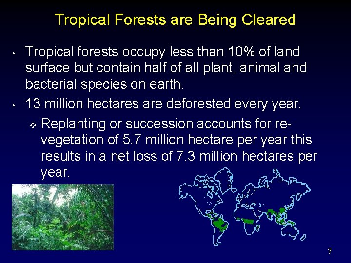 Tropical Forests are Being Cleared • • Tropical forests occupy less than 10% of