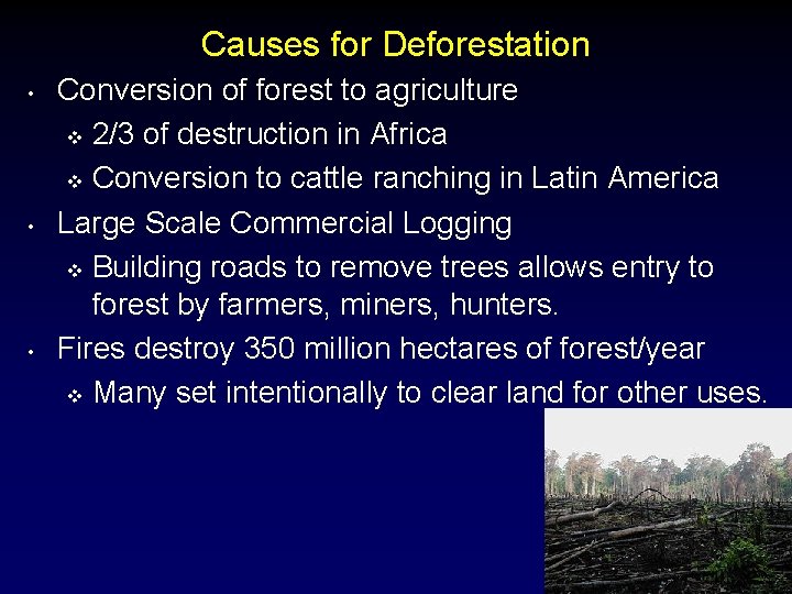 Causes for Deforestation • • • Conversion of forest to agriculture v 2/3 of