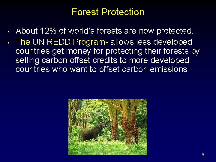 Forest Protection • • About 12% of world’s forests are now protected. The UN