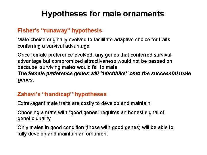 Hypotheses for male ornaments Fisher’s “runaway” hypothesis Mate choice originally evolved to facilitate adaptive