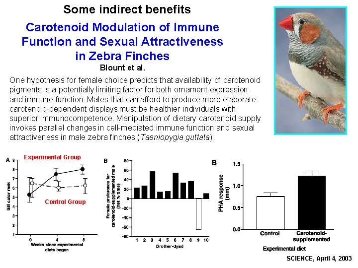 Some indirect benefits Carotenoid Modulation of Immune Function and Sexual Attractiveness in Zebra Finches