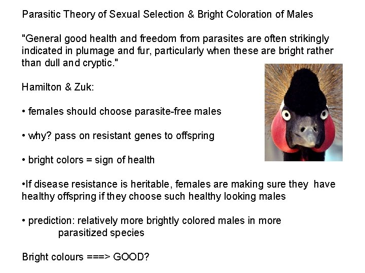 Parasitic Theory of Sexual Selection & Bright Coloration of Males "General good health and