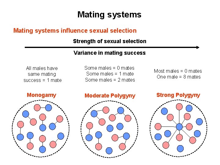 Mating systems influence sexual selection Strength of sexual selection Variance in mating success All