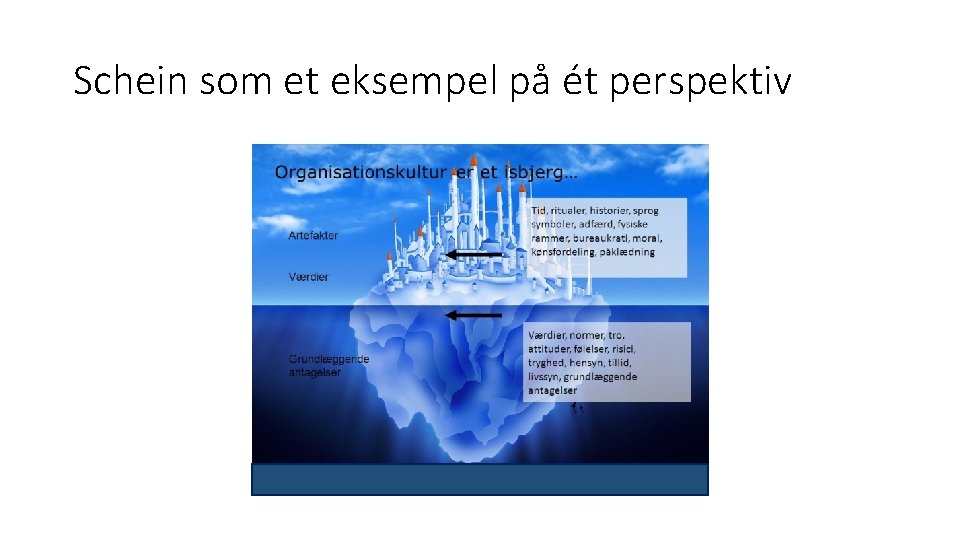 Schein som et eksempel på ét perspektiv 