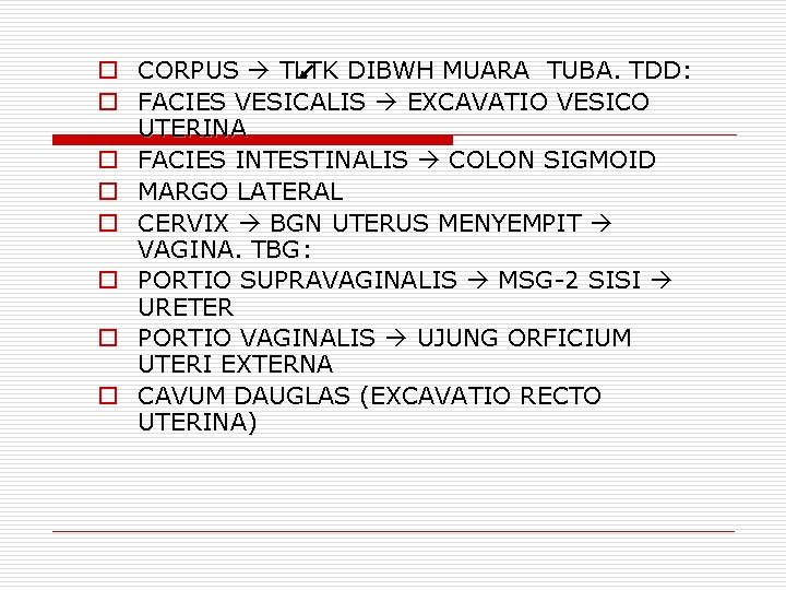 o CORPUS TLTK DIBWH MUARA TUBA. TDD: o FACIES VESICALIS EXCAVATIO VESICO UTERINA o