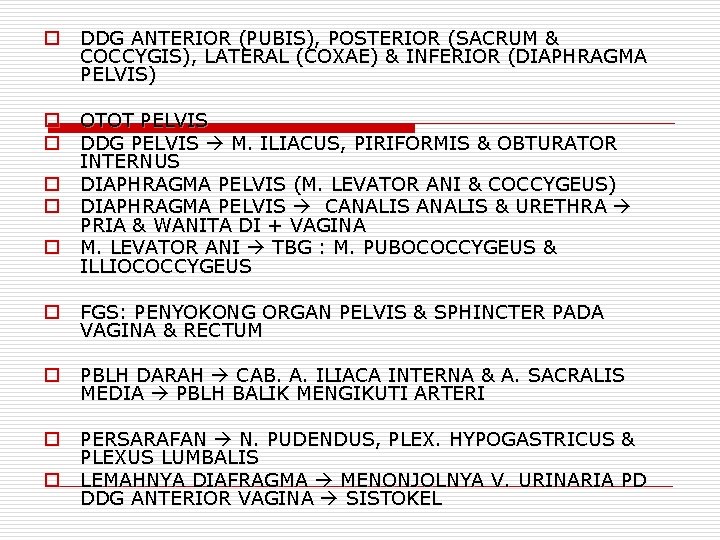 o DDG ANTERIOR (PUBIS), POSTERIOR (SACRUM & COCCYGIS), LATERAL (COXAE) & INFERIOR (DIAPHRAGMA PELVIS)