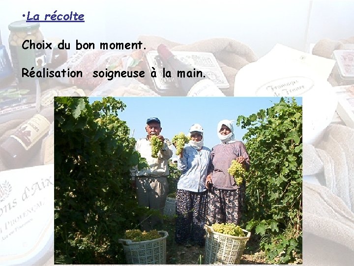  • La récolte Choix du bon moment. Réalisation soigneuse à la main. 