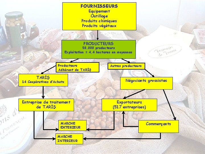 FOURNISSEURS Equipement Outillage Produits chimiques Produits végétaux PRODUCTEURS 50. 000 producteurs Exploitation = 4,