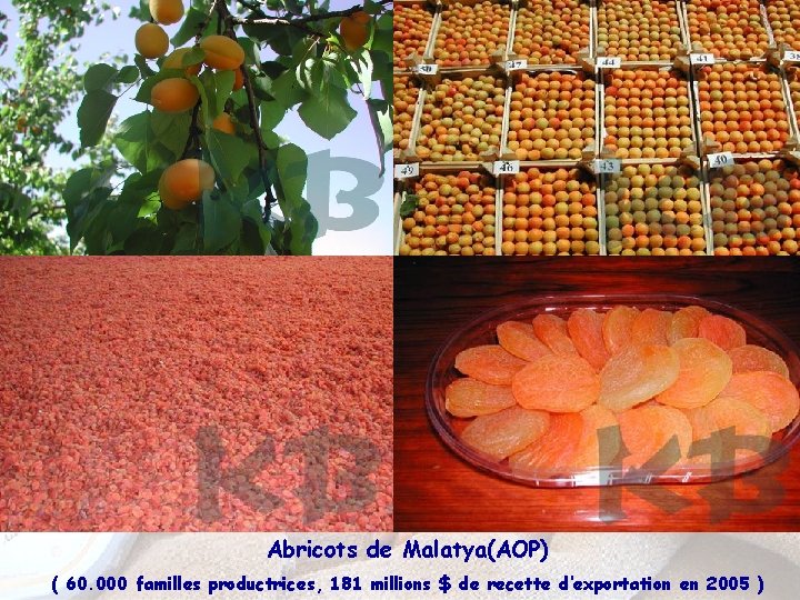 Abricots de Malatya(AOP) ( 60. 000 familles productrices, 181 millions $ de recette d’exportation