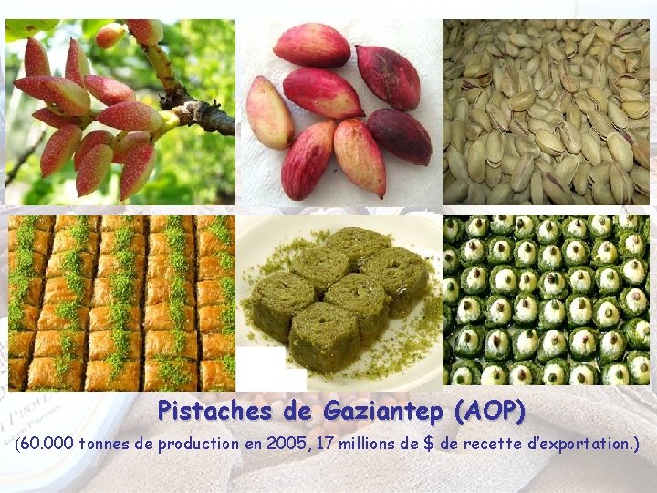 Pistaches de Gaziantep (AOP) (60. 000 tonnes de production en 2005, 17 millions de